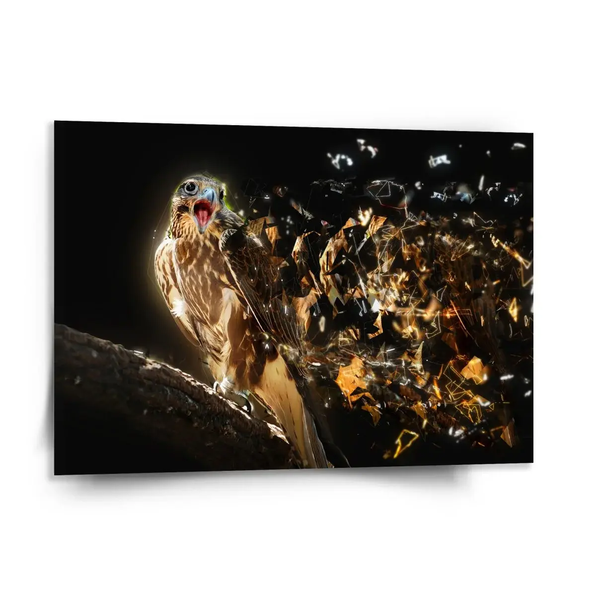 Obraz Dravec - 150x110 cm