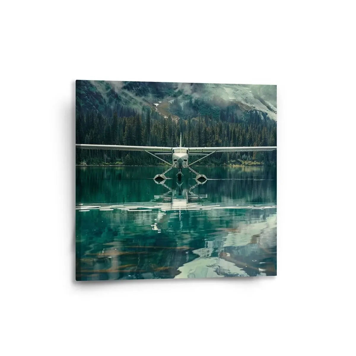 Obraz Hydroplán na horském jezeře - 50x50 cm