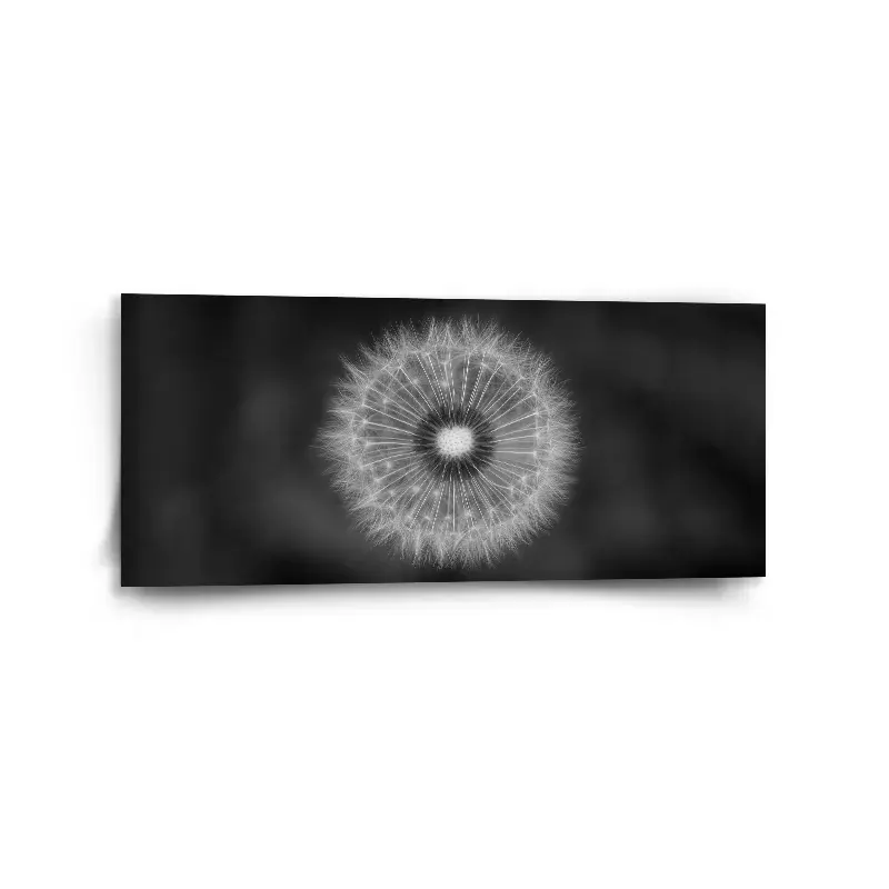 Obraz Černobílá pampeliška - 110x50 cm
