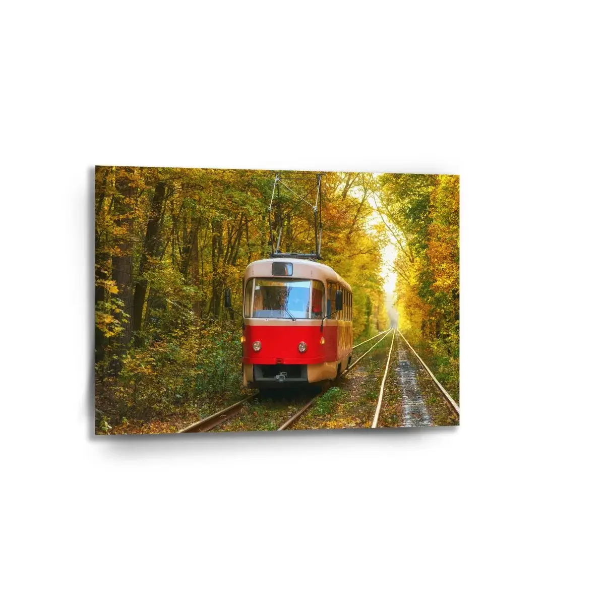 Obraz Červená tramvaj v lese - 90x60 cm