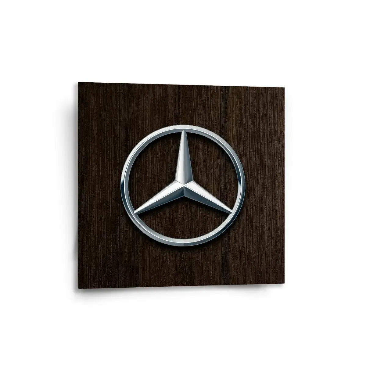 Obraz Logo 5 Dřevo - 50x50 cm