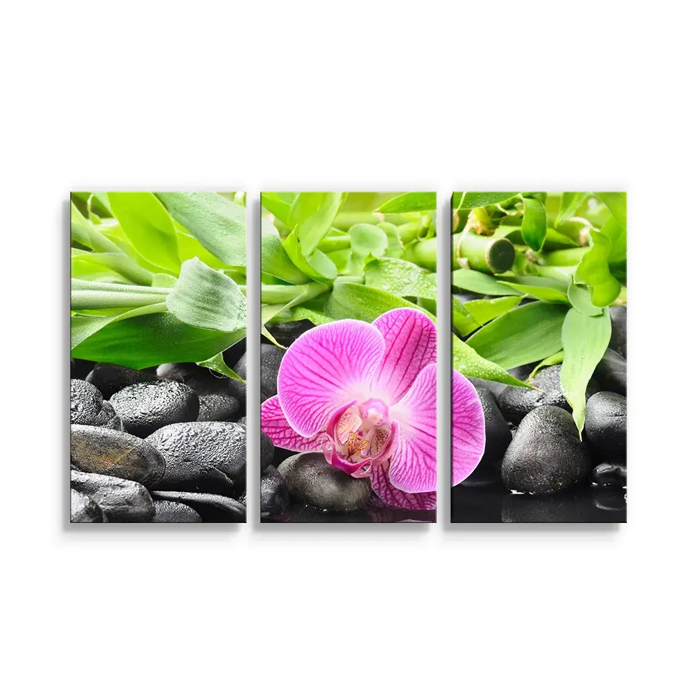 Obraz - 3-dílný Růžová orchidej - 120x80 cm