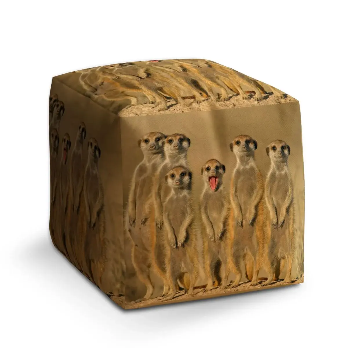 Taburet Cube Surikaty - 60x60x60 cm