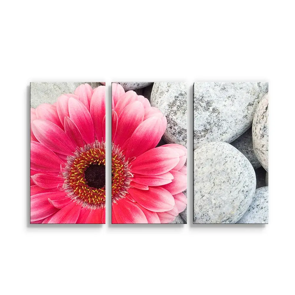 Obraz - 3-dílný Gerbera na kamenech - 120x80 cm