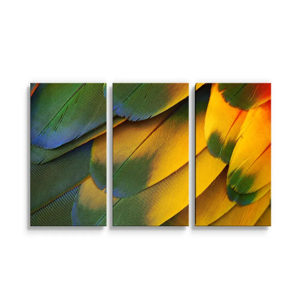 Obraz - 3-dílný Barevné peří - 120x80 cm