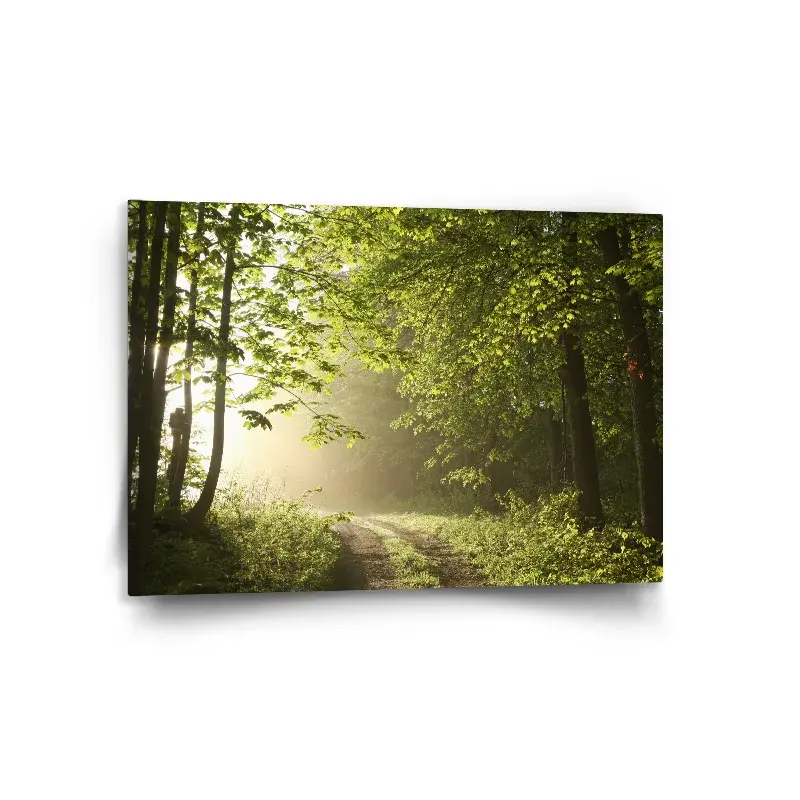 Obraz Lesní cesta - 150x110 cm