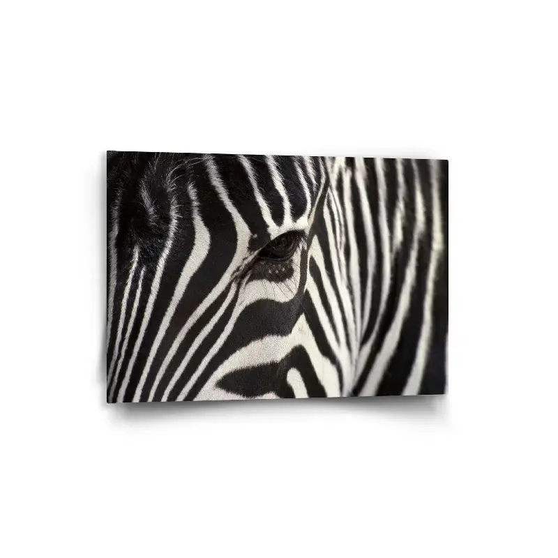 Obraz Detail zebra - 90x60 cm