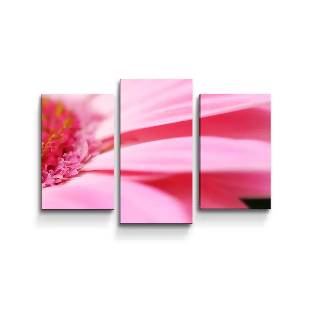 Obraz - 3-dílný Růžová gerbera - 75x50 cm