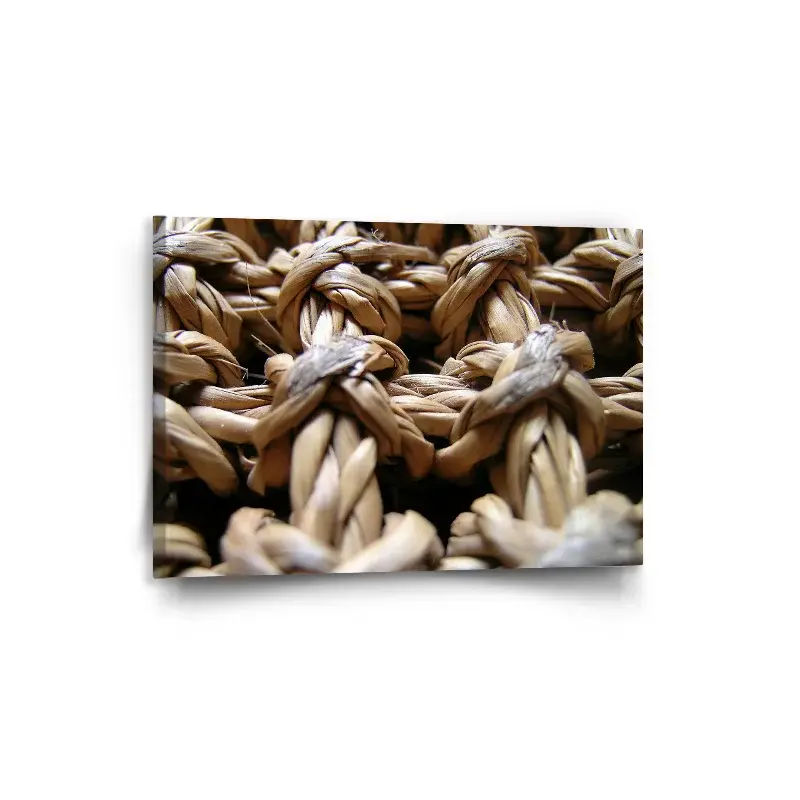 Obraz Banánové listí - 90x60 cm