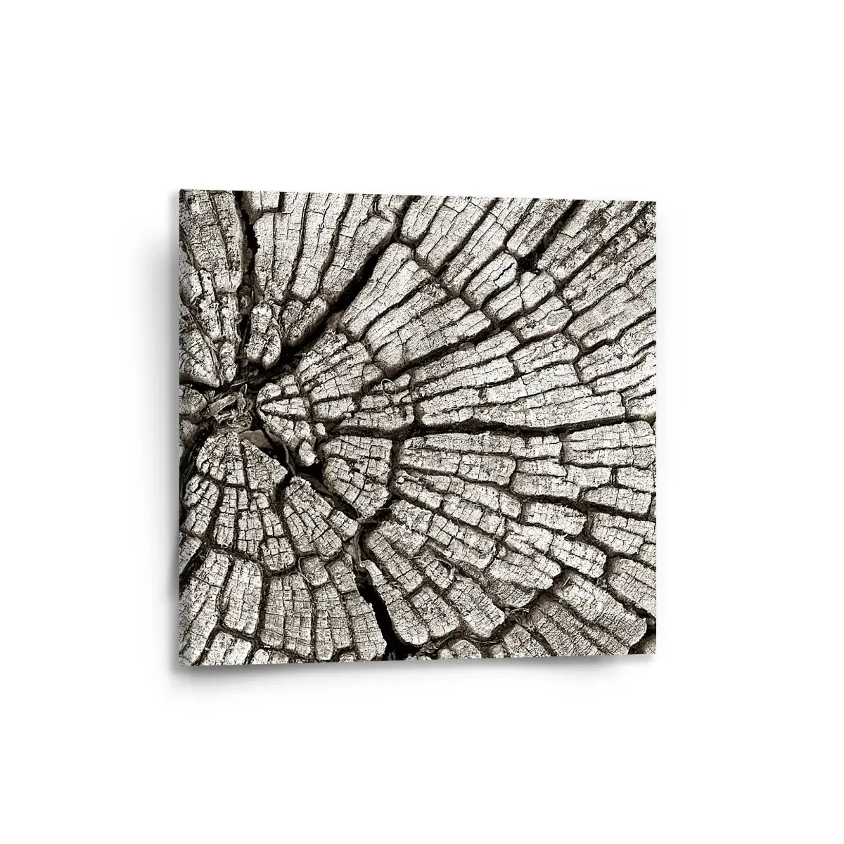 Obraz Dřevo - 50x50 cm