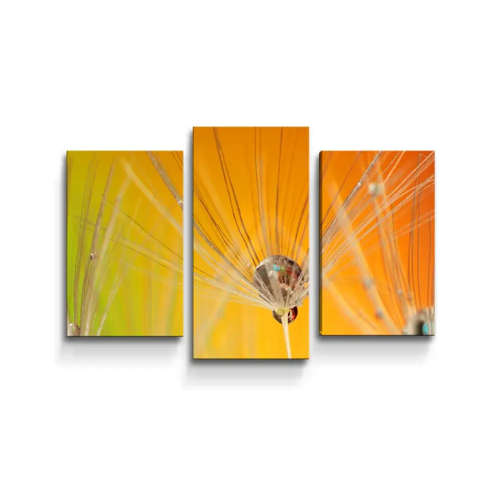 Obraz - 3-dílný Odkvetlé pampelišky 2 - 75x50 cm