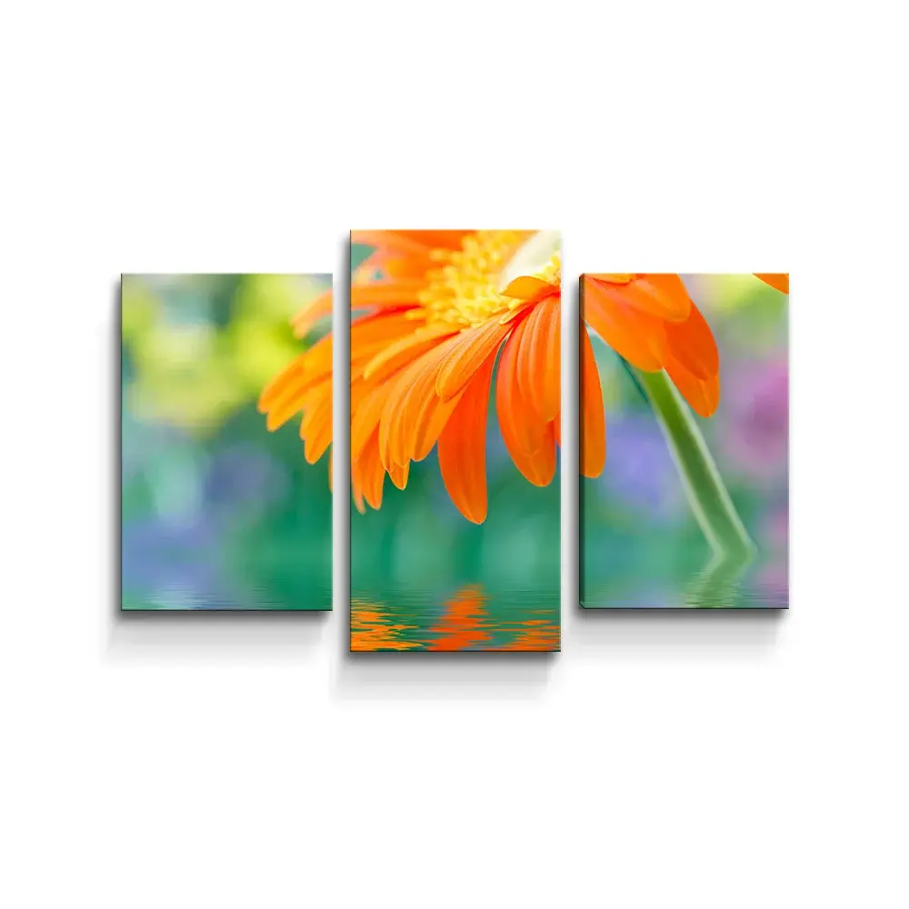 Obraz - 3-dílný Oranžová gerbera - 75x50 cm