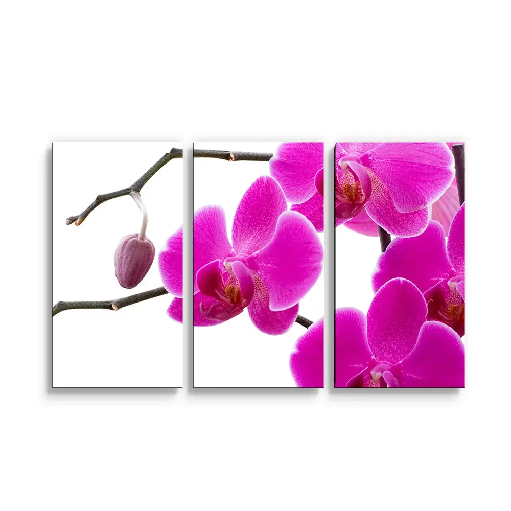 Obraz - 3-dílný Fialové orchideje - 120x80 cm
