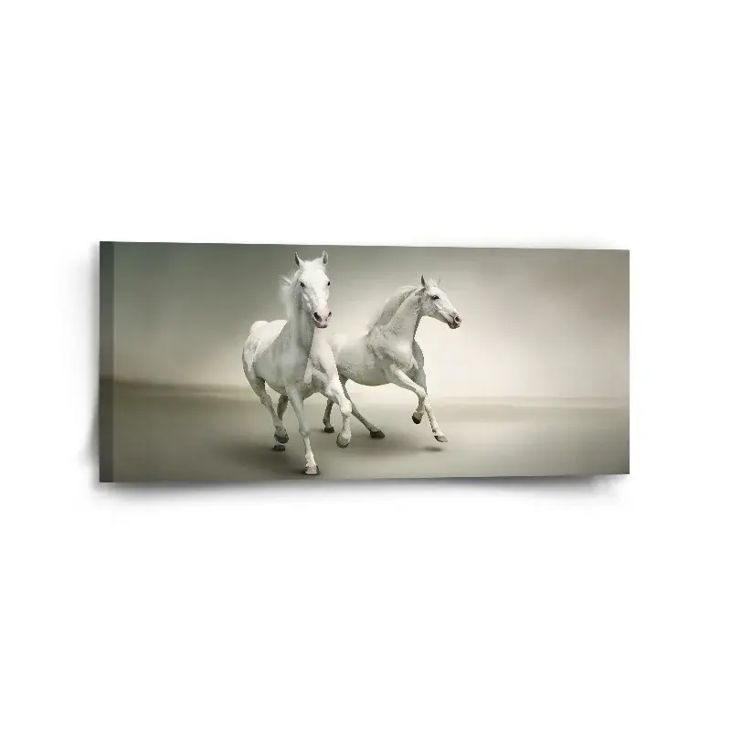 Obraz Dva bílí koně - 110x50 cm