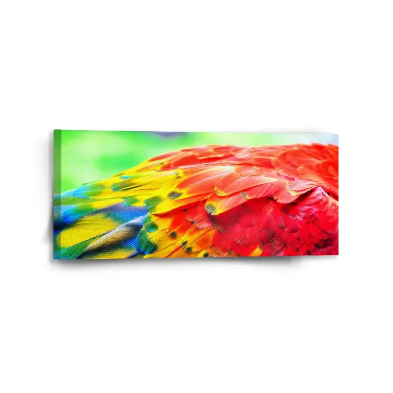 Obraz Barevné peří 2 - 110x50 cm