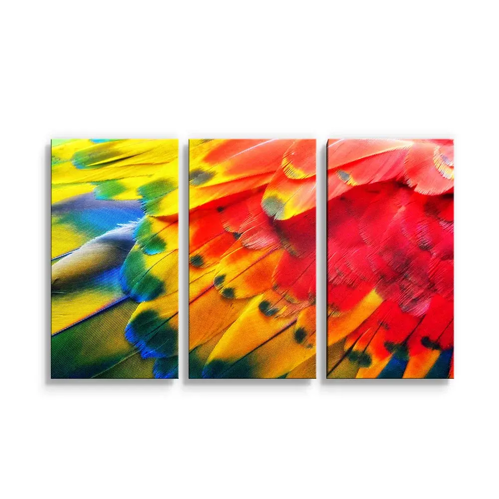 Obraz - 3-dílný Barevné peří 2 - 120x80 cm