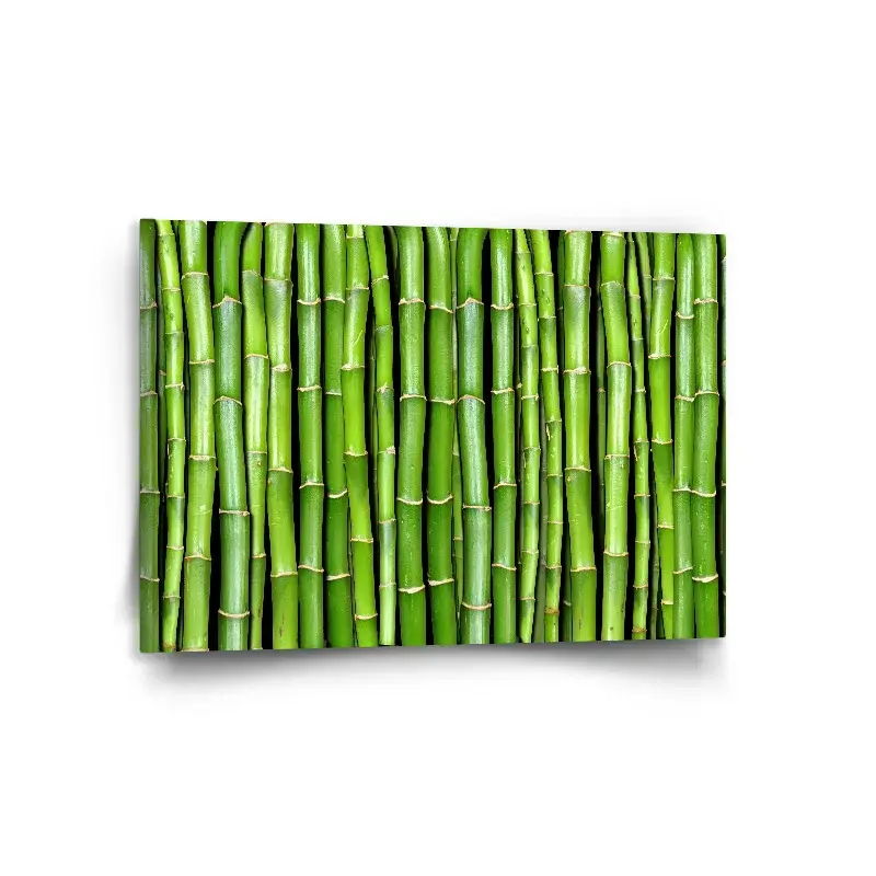 Obraz Bambus - 120x80 cm