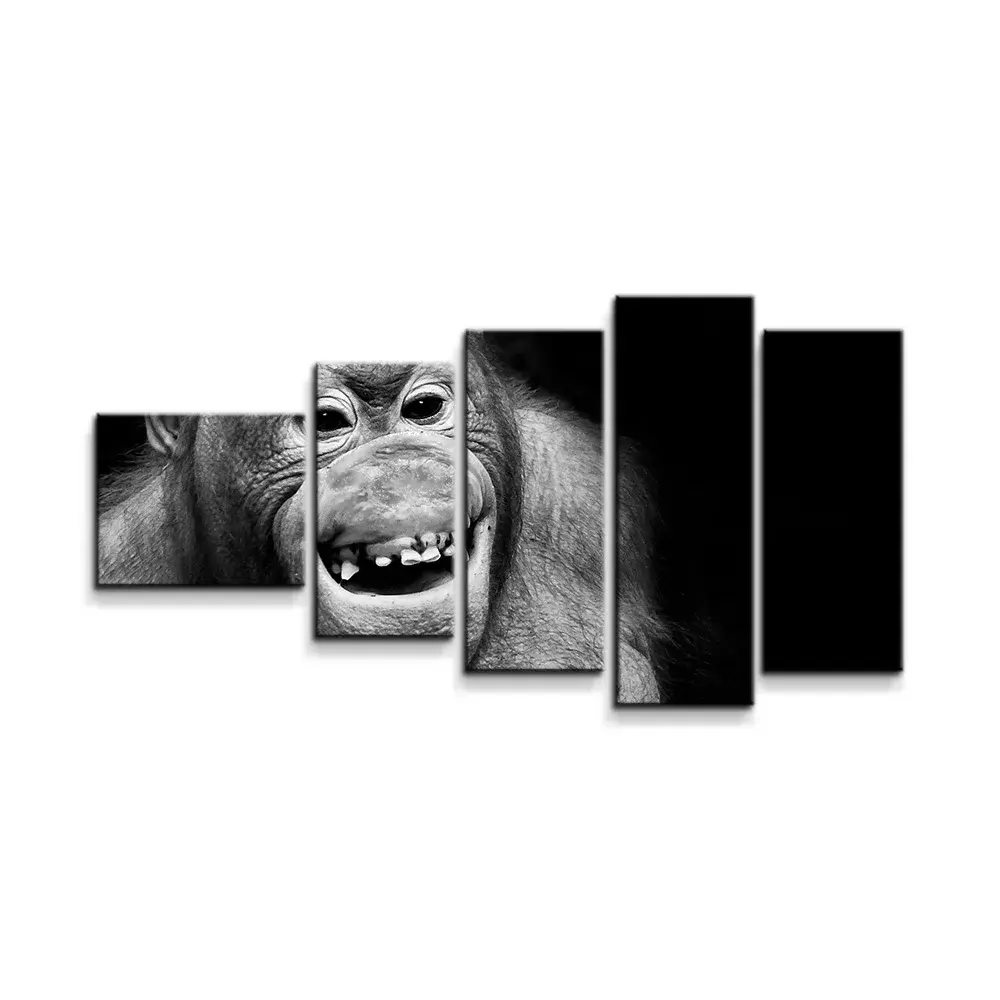 Obraz - 5-dílný Orangutan - 100x60 cm