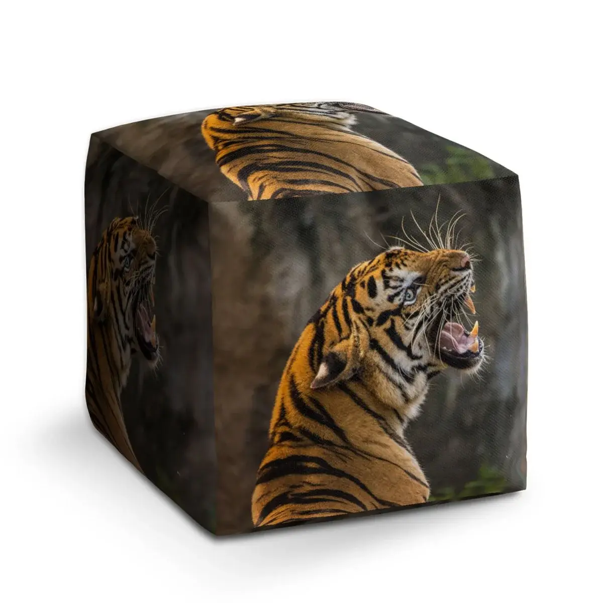 Taburet Cube Řvoucí tygr - 50x50x50 cm