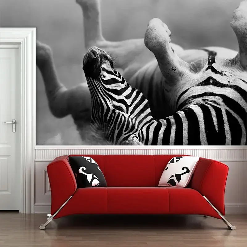 Tapeta Válející se zebra - 125x75 cm