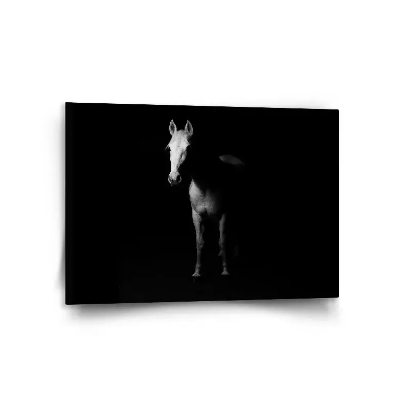 Obraz Kůň ve stínu - 120x80 cm