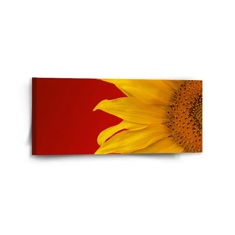 Obraz Slunečnice - 110x50 cm