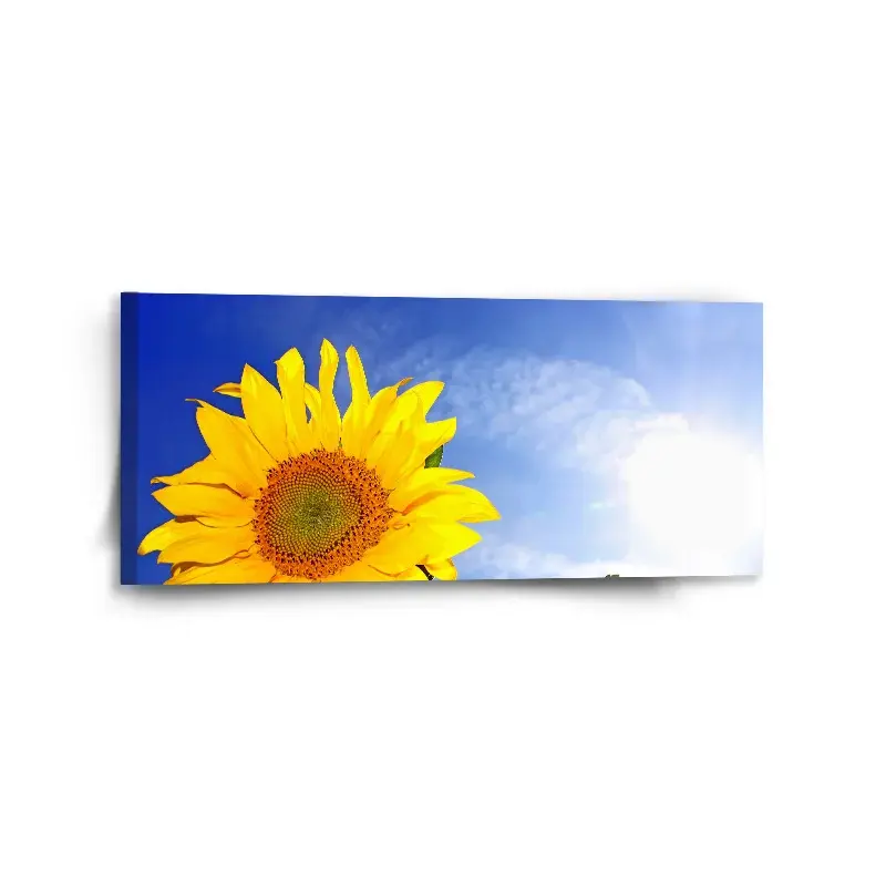 Obraz Slunečnice 2 - 110x50 cm