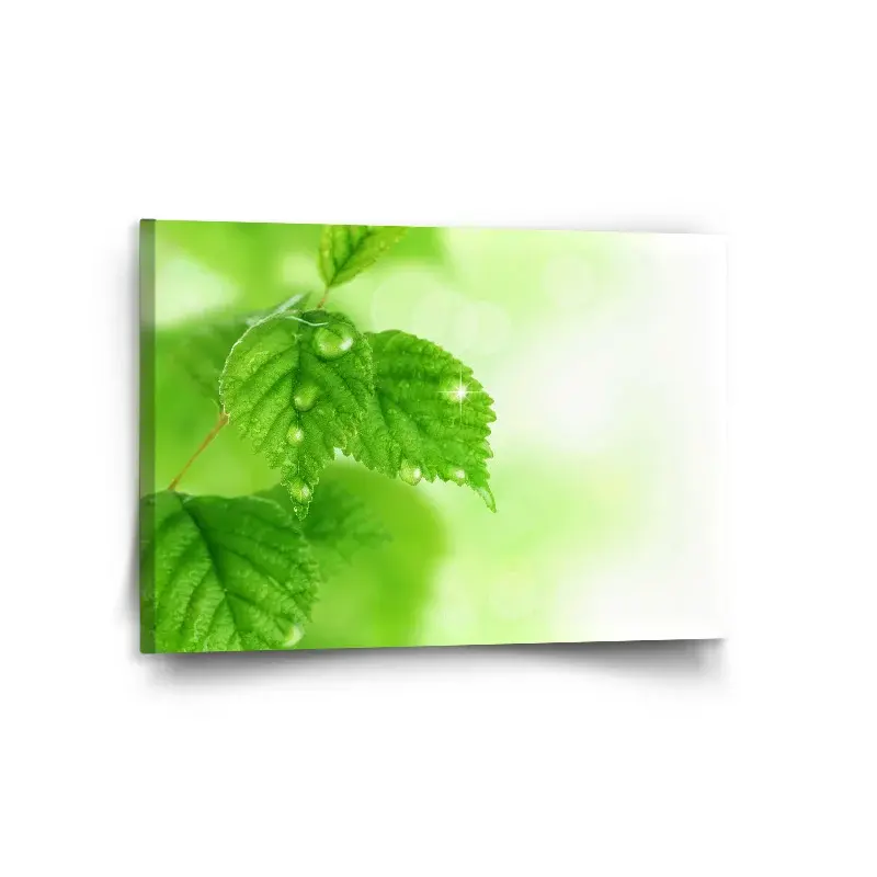 Obraz Listy 2 - 120x80 cm