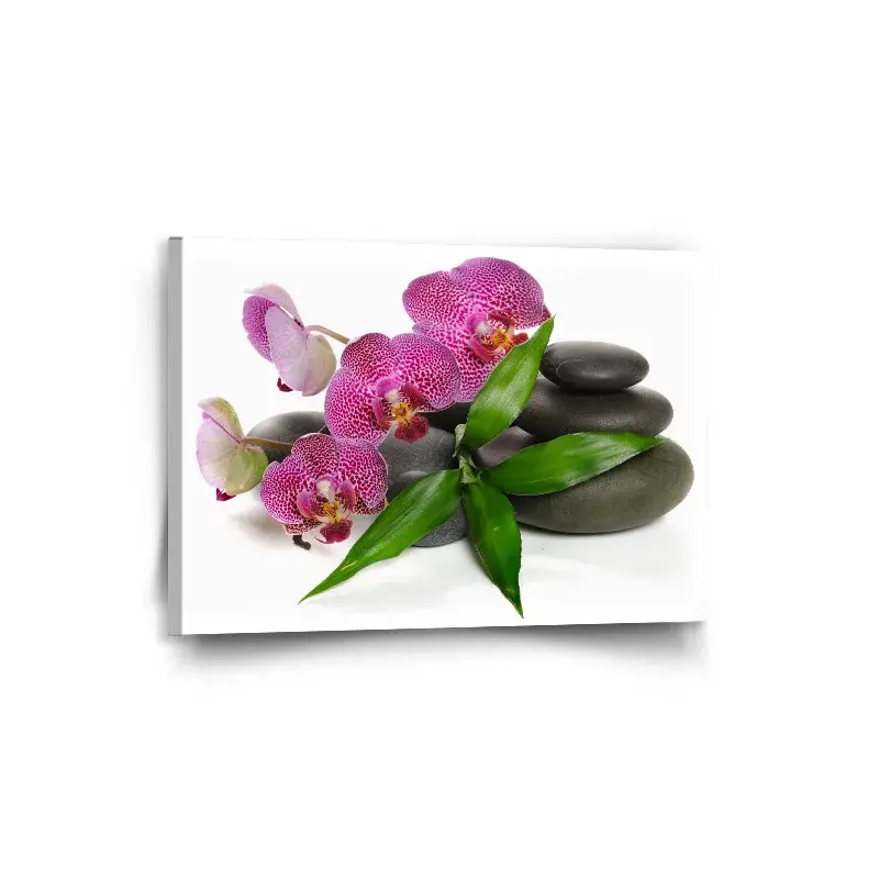 Obraz Orchideje a kameny - 90x60 cm