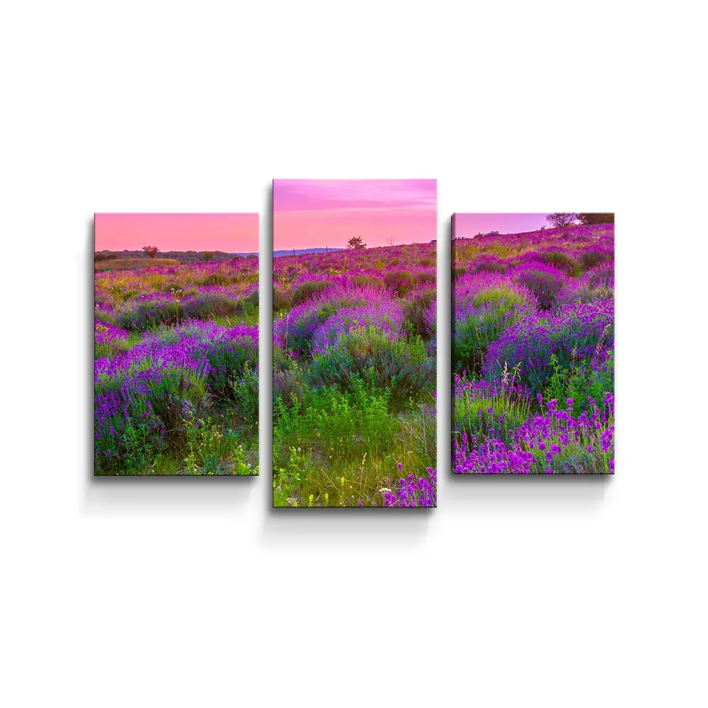 Obraz - 3-dílný Levandulové pole 2 - 75x50 cm