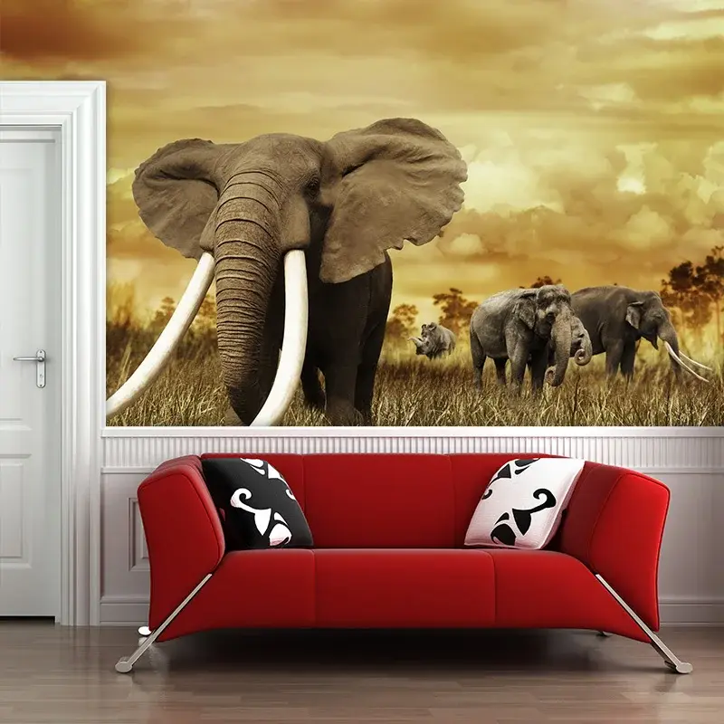 Tapeta Slon Africký - 125x75 cm