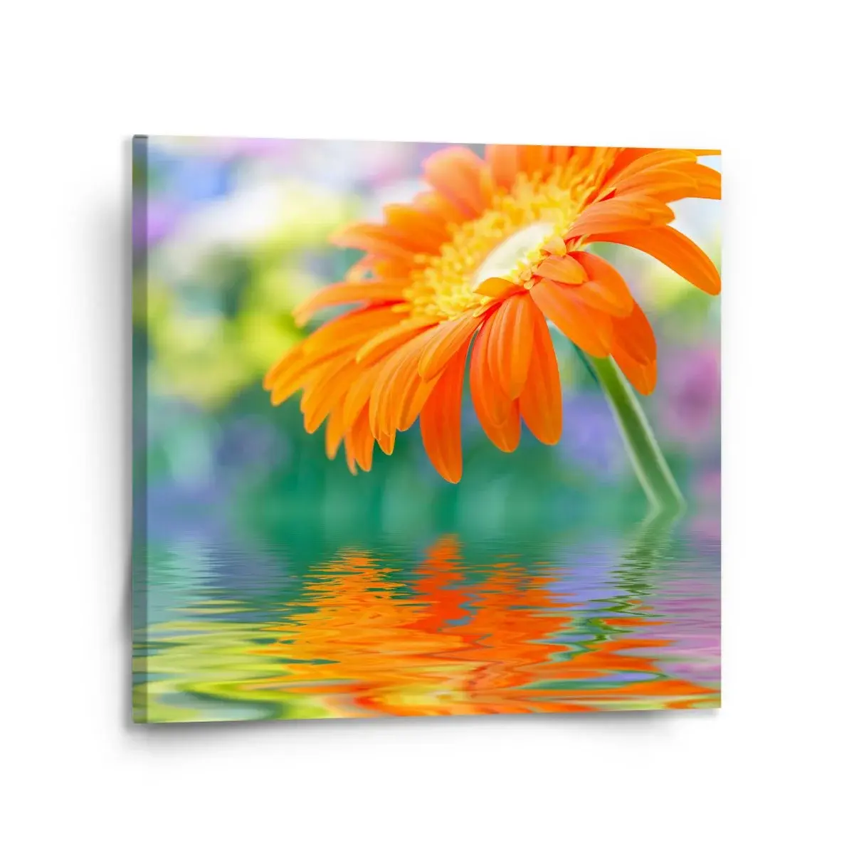Obraz Oranžová gerbera - 110x110 cm