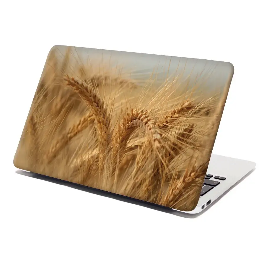 Samolepka na notebook Klasy 2 - 38x26 cm