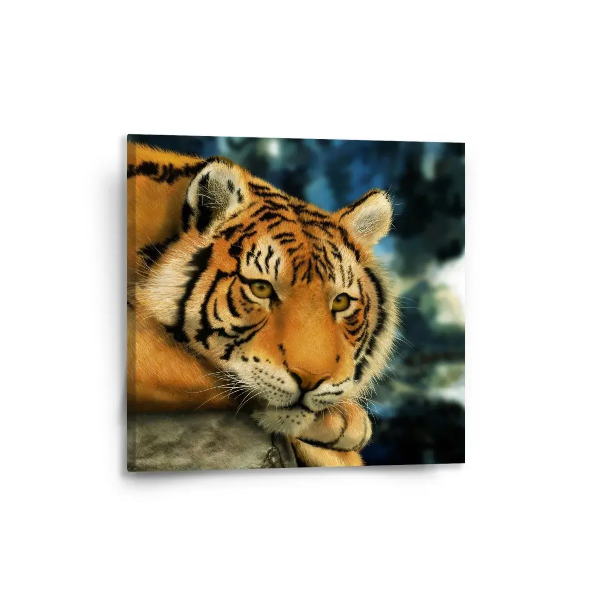 Obraz Tygr - 50x50 cm