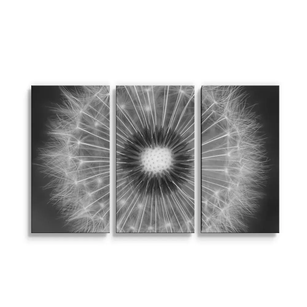 Obraz - 3-dílný Černobílá pampeliška - 120x80 cm