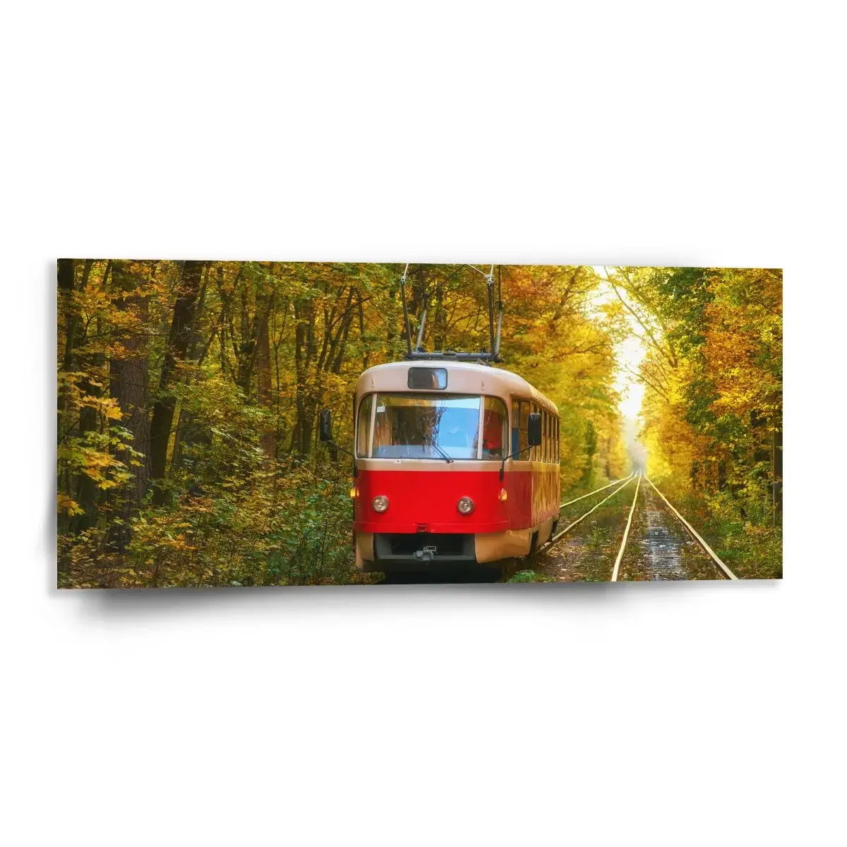 Obraz Červená tramvaj v lese - 110x50 cm