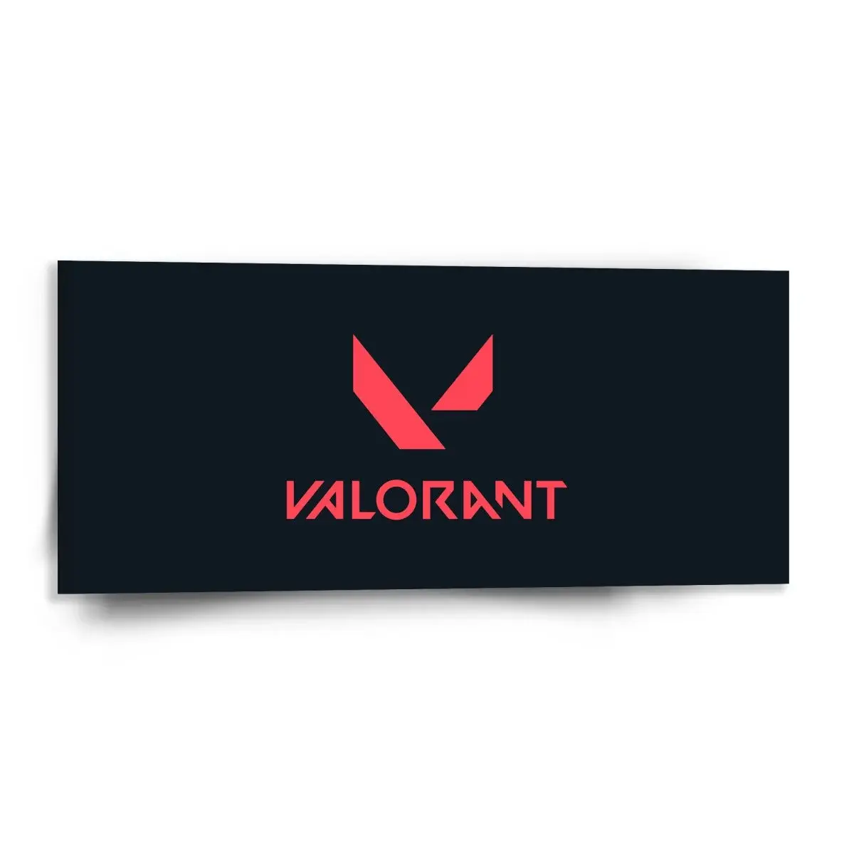 Obraz VALORANT Black - 110x50 cm