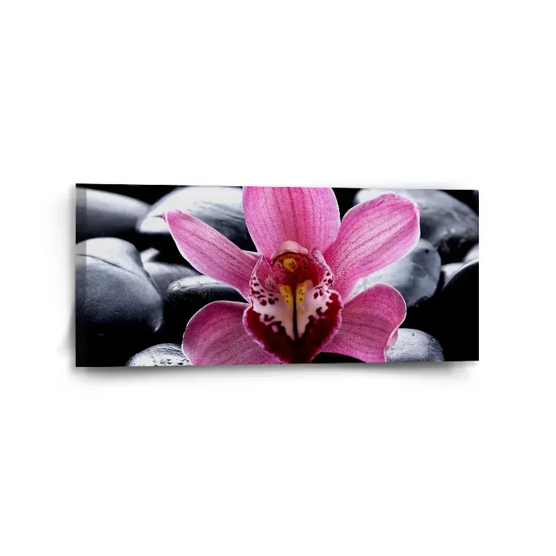 Obraz Růžová orchidea - 110x50 cm
