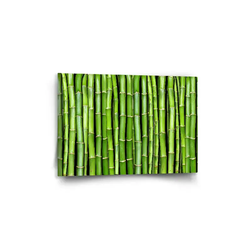 Obraz Bambus - 60x40 cm
