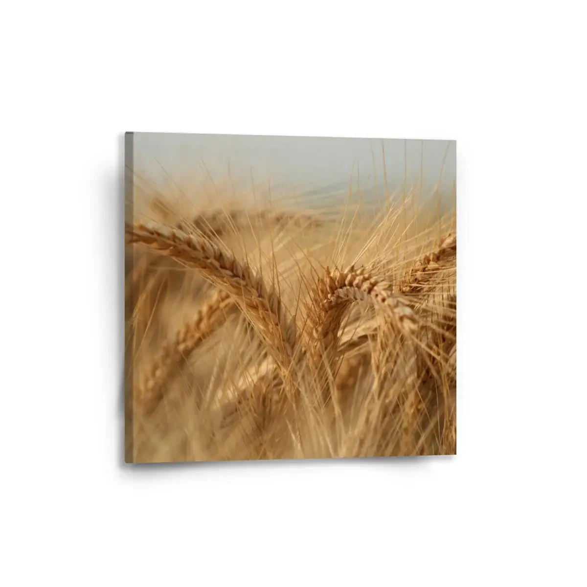 Obraz Klasy 2 - 50x50 cm