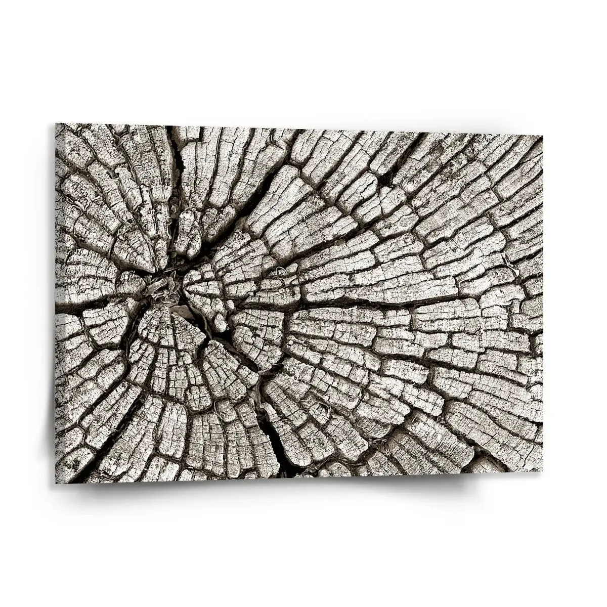 Obraz Dřevo - 150x110 cm