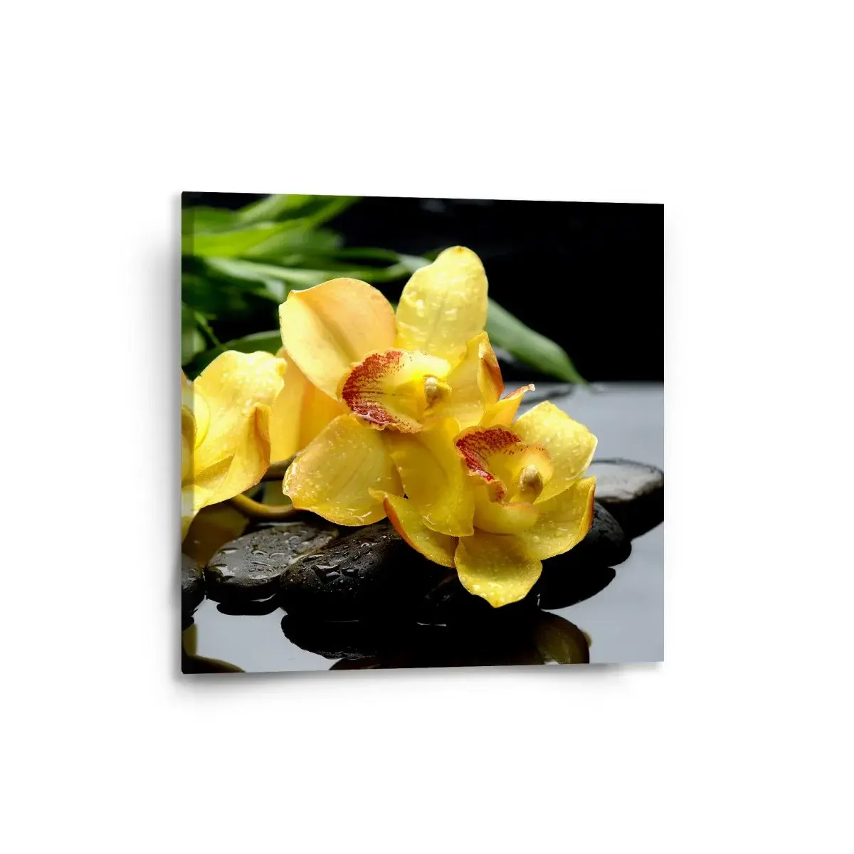 Obraz Žluté orchideje - 50x50 cm