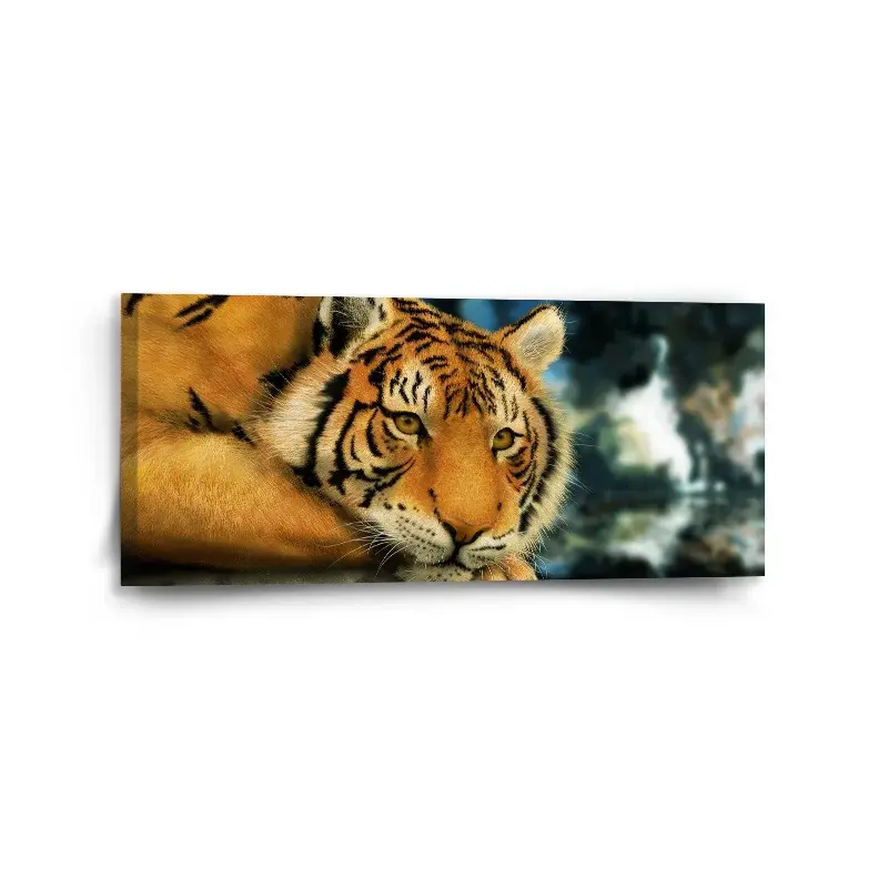 Obraz Tygr - 110x50 cm
