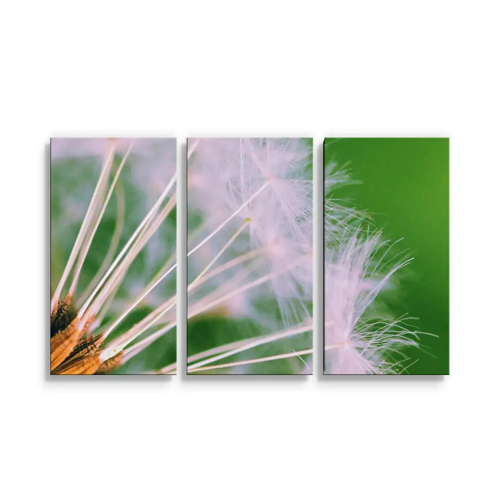 Obraz - 3-dílný Odkvetlé pampelišky 3 - 120x80 cm