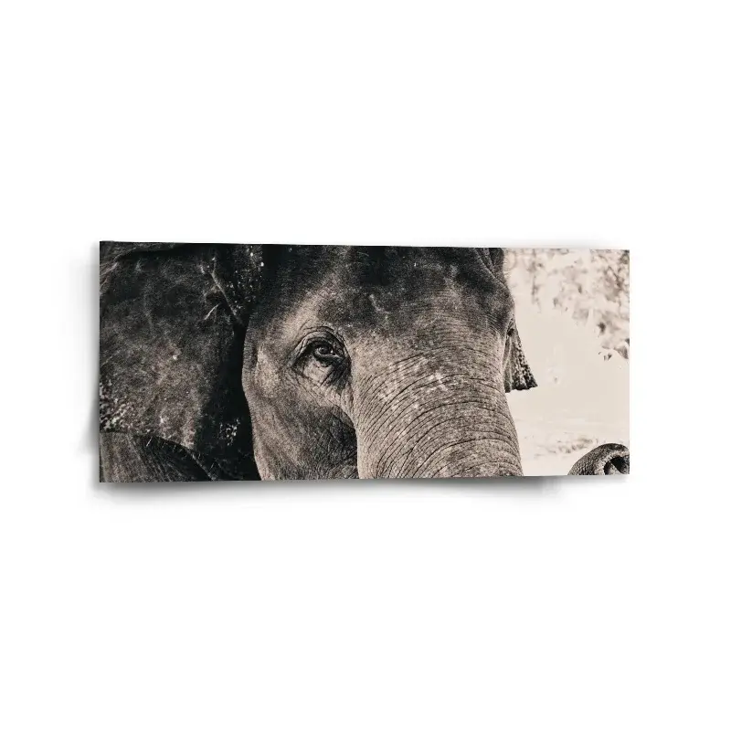 Obraz Pruhovaný motiv - 110x50 cm