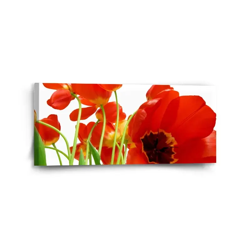 Obraz Tulipány - 110x50 cm