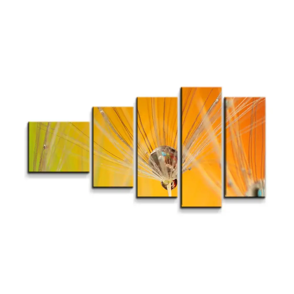 Obraz - 5-dílný Odkvetlé pampelišky 2 - 100x60 cm