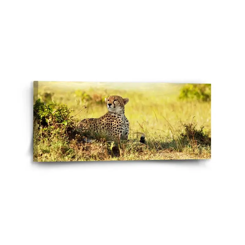 Obraz Gepard - 110x50 cm