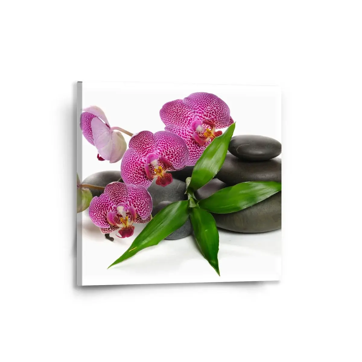 Obraz Orchideje a kameny - 50x50 cm