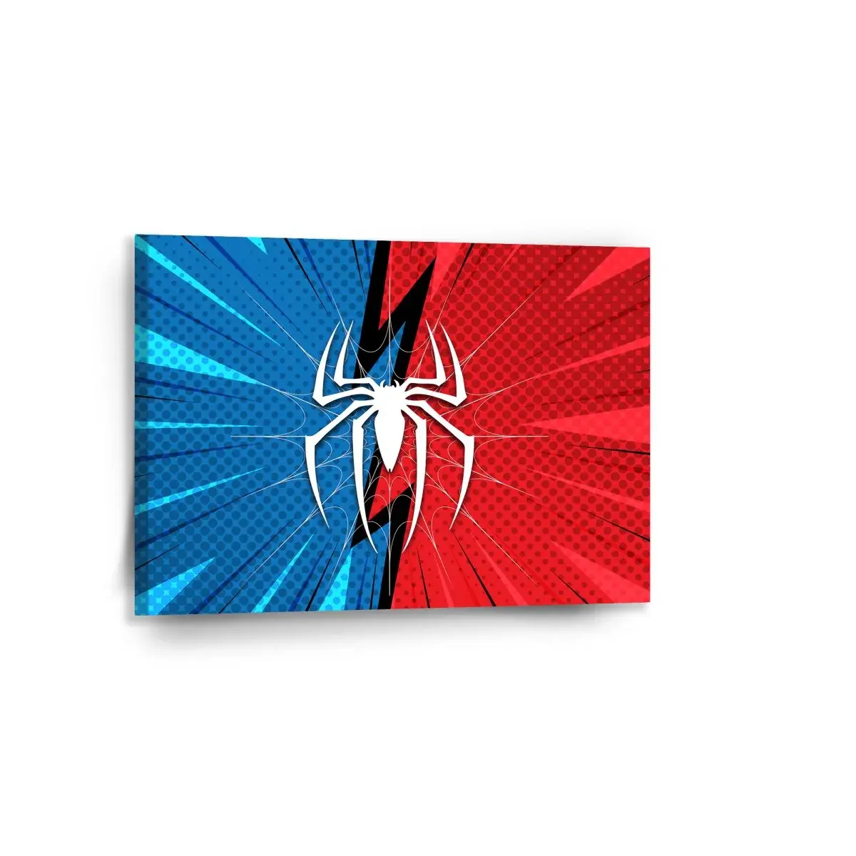 Obraz Spider - 90x60 cm